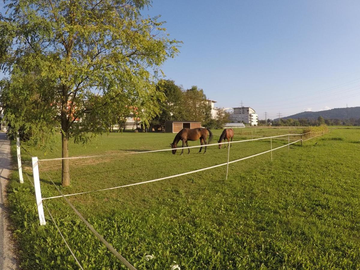 Pearl Of Sava Wild Waters Villa Ljubljana Luaran gambar